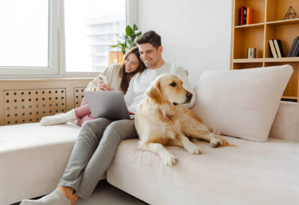 Guided vs Consultant Choice Health Insurance UK