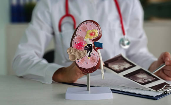 kidney ultrasound guide and cost